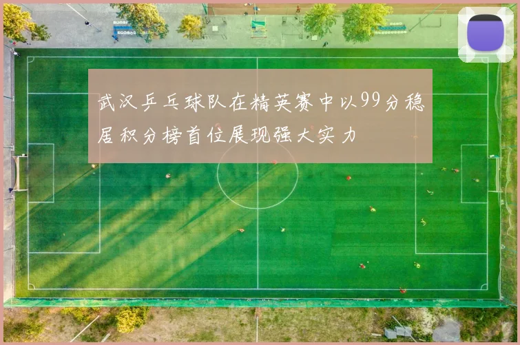 武汉乒乓球队在精英赛中以99分稳居积分榜首位展现强大实力